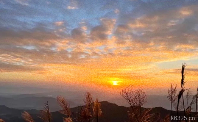 拥抱生活的30条励志语录：心怀美好，万物皆可期